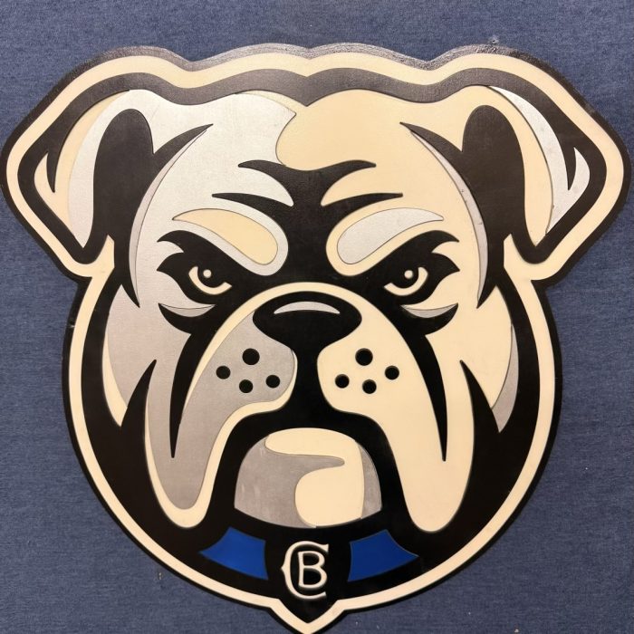 Canterbury Bulldogs NRL Sign